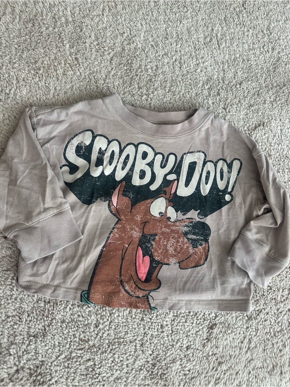Cotton On Gray Scooby-Doo Graphic Long Sleeve Tee